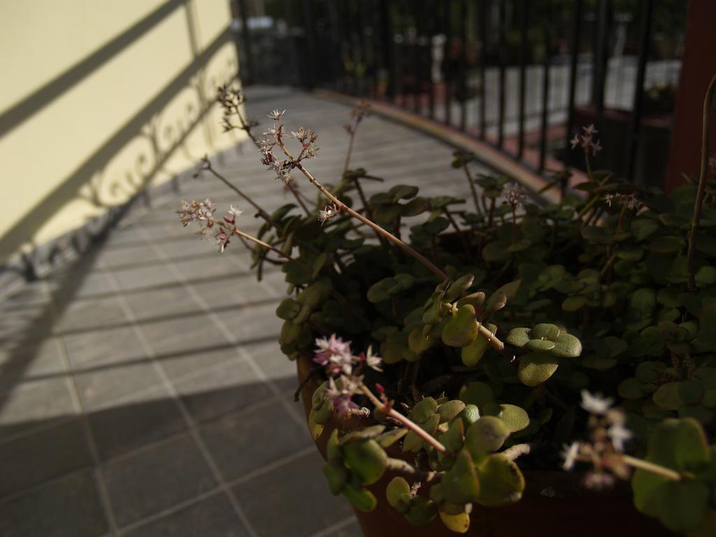 Una Noche Mas B & B Montevideo Bagian luar foto